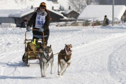 Lenk 2012 SM